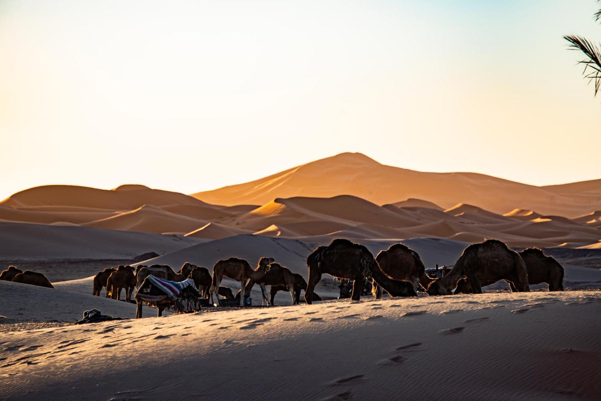 Kanz Erremal Merzouga Dış mekan fotoğraf