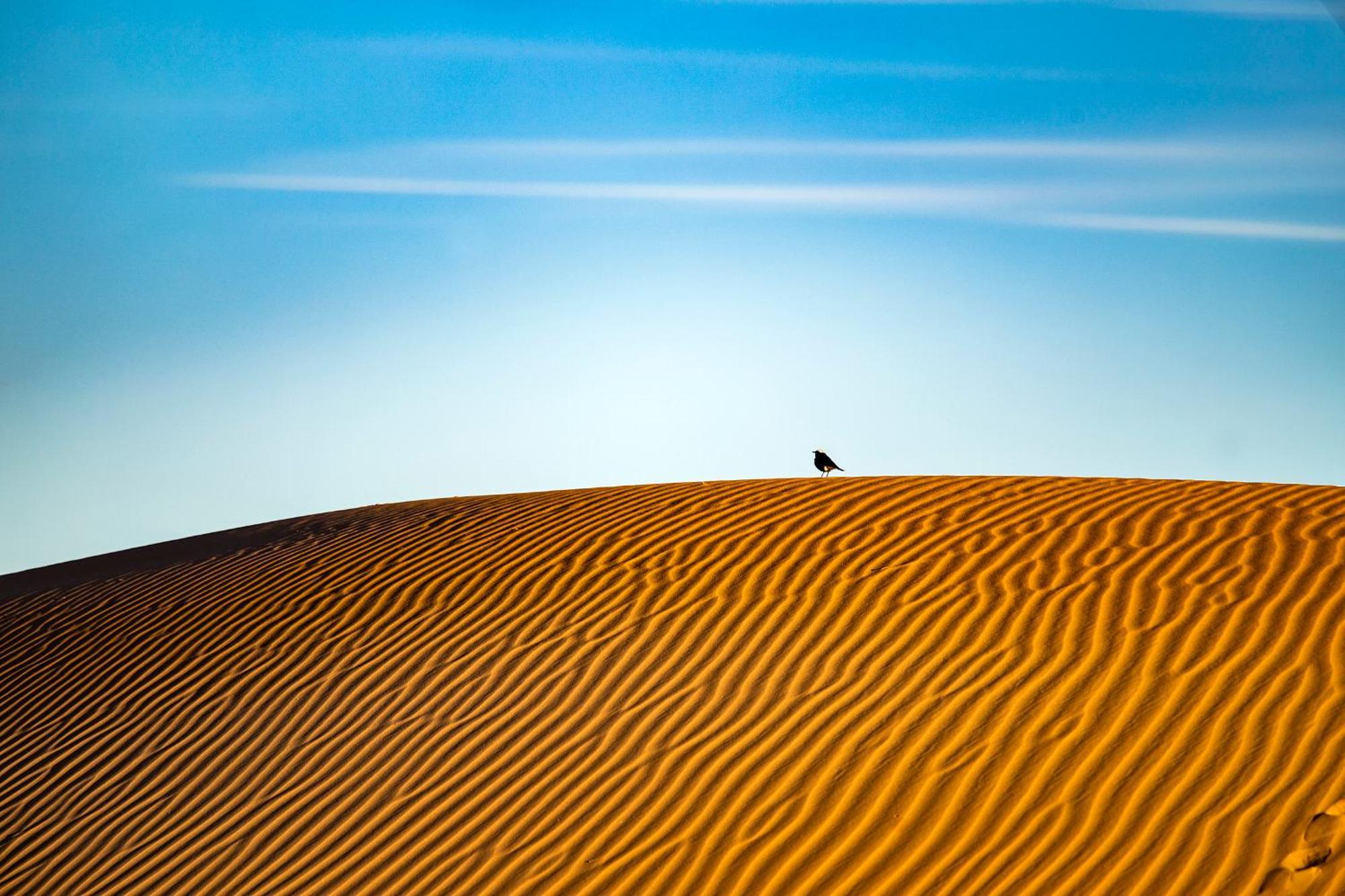 Kanz Erremal Merzouga Dış mekan fotoğraf